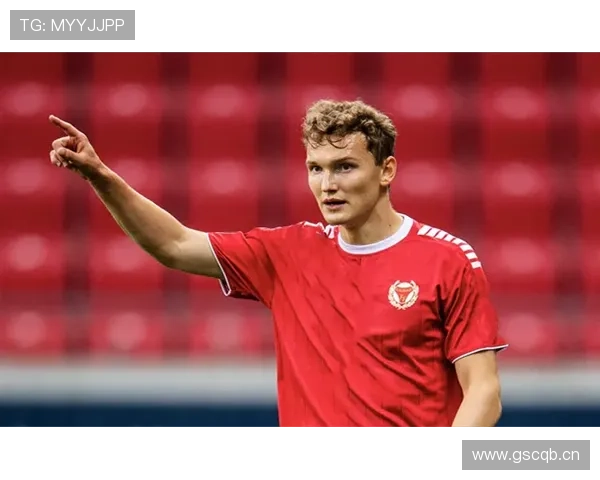 瑞典黄蓝军团状态回暖，球迷热情助力球队争夺国际赛场资格