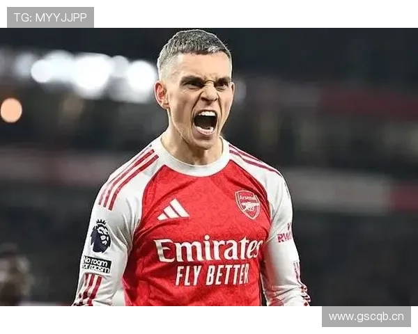 特罗萨德在比利时国家队的轮换定位解析